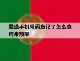 联通手机号码忘记了怎么查询余额呢