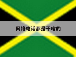 网络电话都是干啥的