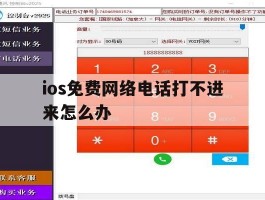 ios免费网络电话打不进来怎么办
