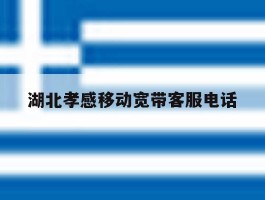 湖北孝感移动宽带客服电话