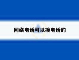 网络电话可以接电话的