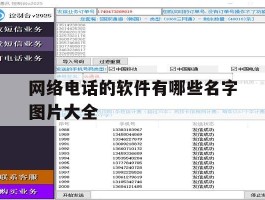 网络电话的软件有哪些名字图片大全