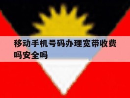 包含移动手机号码办理宽带收费吗安全吗的词条