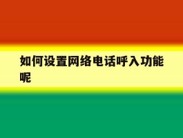 如何设置网络电话呼入功能呢