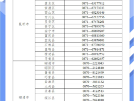 可以更换号码的网络电话吗