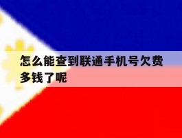 包含怎么能查到联通手机号欠费多钱了呢的词条