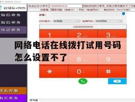 网络电话在线拨打试用号码怎么设置不了