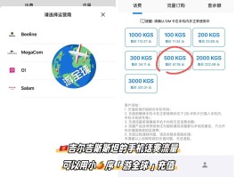 国外电话卡在哪里买便宜的套餐