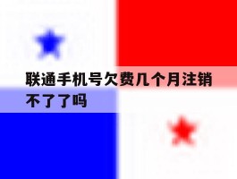 联通手机号欠费几个月注销不了了吗
