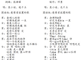 加密通话歌曲歌词翻译中文