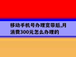 移动手机号办理宽带后,月消费300元怎么办理的