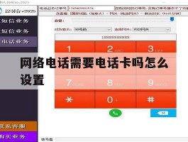 网络电话需要电话卡吗怎么设置