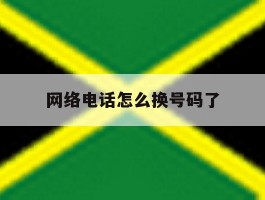 网络电话怎么换号码了