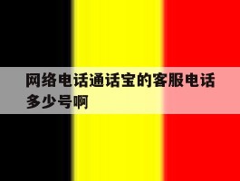 关于网络电话通话宝的客服电话多少号啊的信息