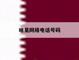 啥是网络电话号码