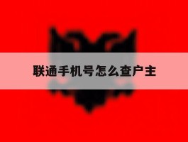 联通手机号怎么查户主