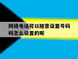 网络电话可以随意设置号码吗怎么设置的呢的简单介绍