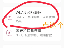 网络电话怎么用手机打开呢