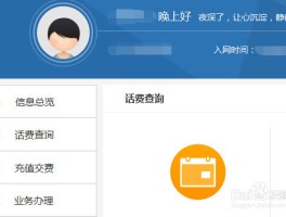 包含联通手机号如何查询话费明细表图片的词条
