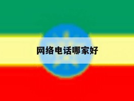网络电话哪家好