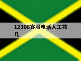 12306客服电话人工按几