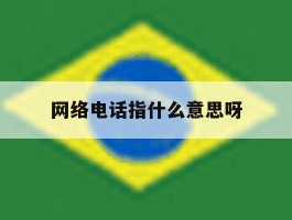 网络电话指什么意思呀