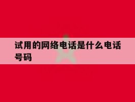 试用的网络电话是什么电话号码