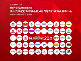 泸州到重庆机场专线400电话是多少啊