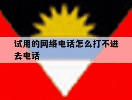 试用的网络电话怎么打不进去电话